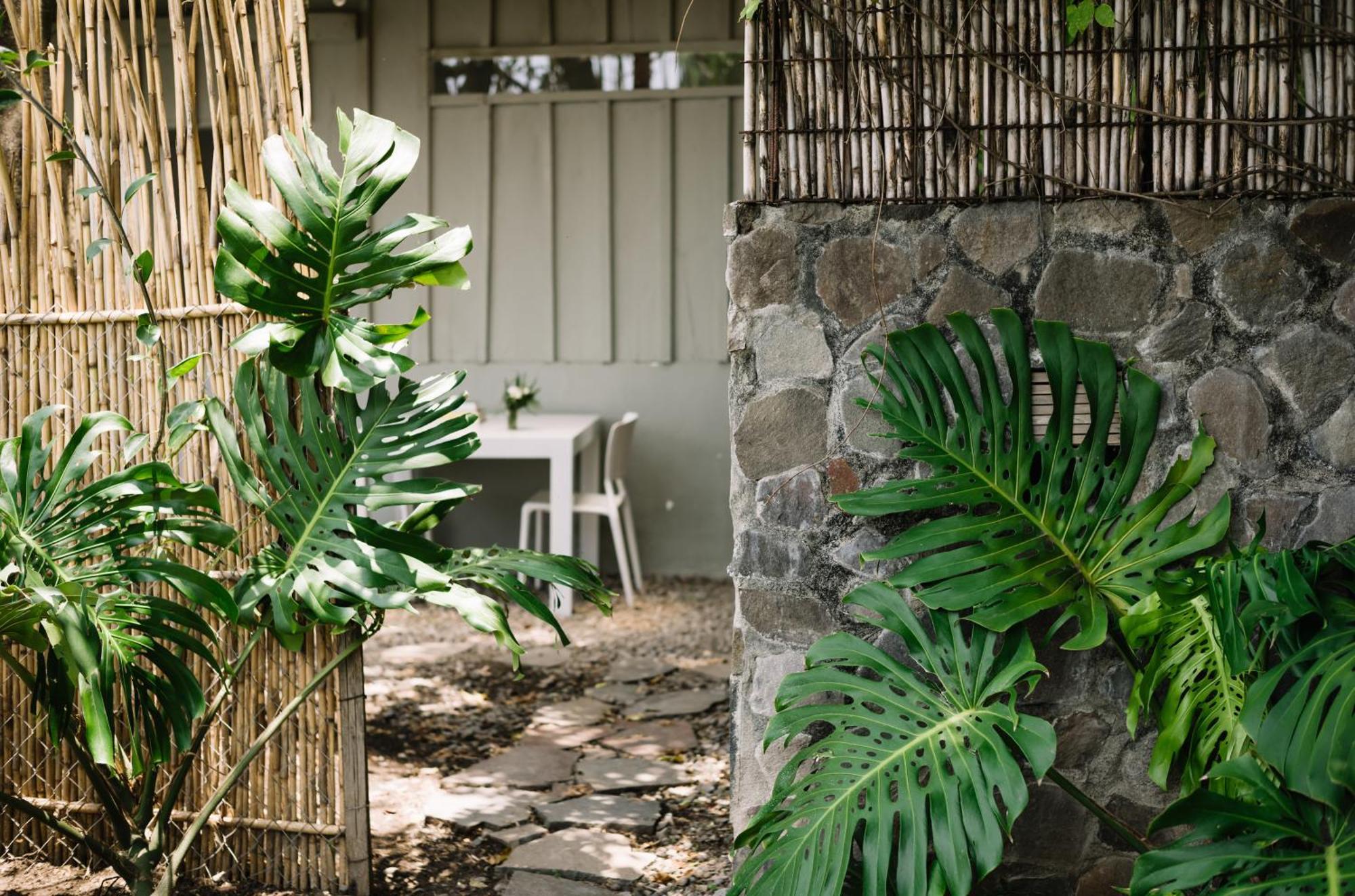 Anzan Atitlan Bed & Breakfast San Marcos La Laguna Bagian luar foto